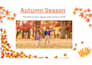 create the best canva template